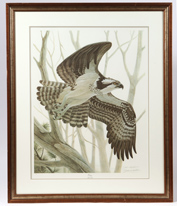 John A. Ruthven (Ohio) "Osprey" Print