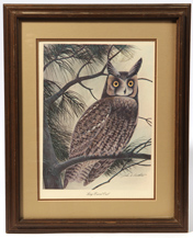 John A. Ruthven (Ohio) "Long Eared Owl" Print