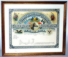 Hanoverian Horse Certificate