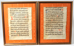 Manuscript Pages on Vellum