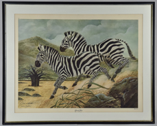 John A. Ruthven Lithograph "Grants Zebra"