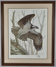 John A. Ruthven Lithograph "Osprey"